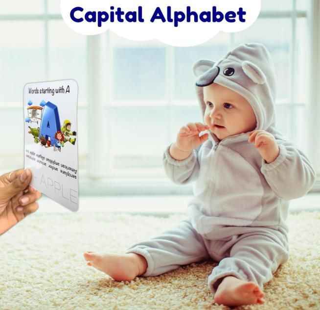 Todfod Re-Writable Smart Knowledge Flash Cards